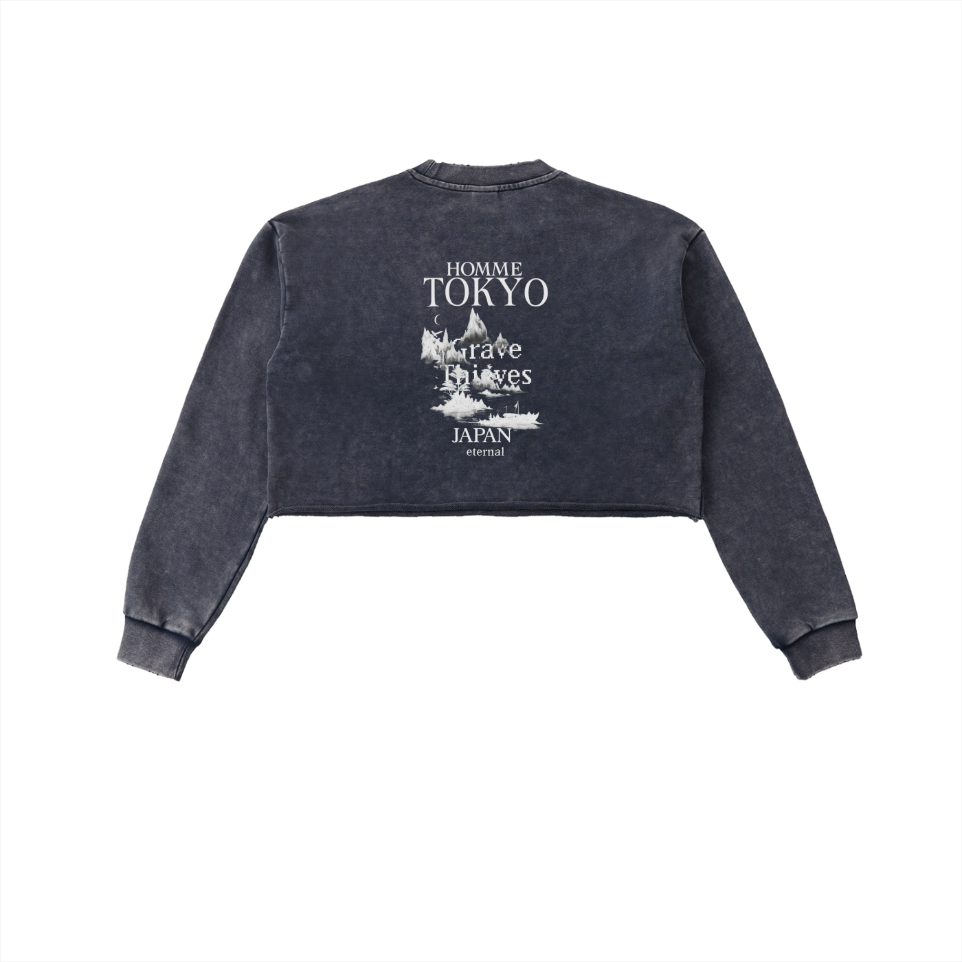 Snow Washed Raw Edge Cropped Sweatshirt